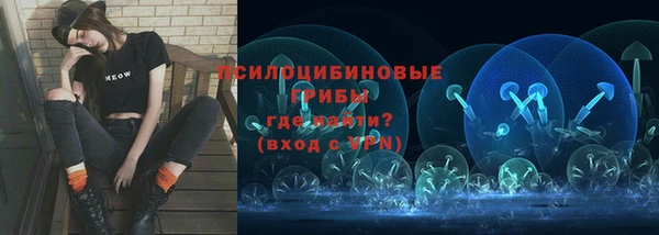 герыч Алексин