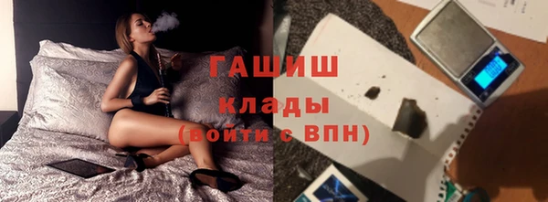 PSILOCYBIN Алзамай