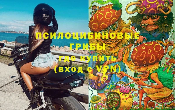 герыч Алексин