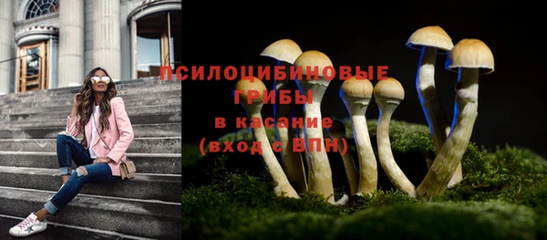 мяу мяу мука Армянск